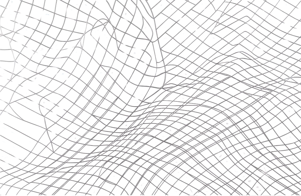 Topography Mesh